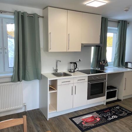 Mountain View Apartment 람자우 암 다흐스타인 외부 사진